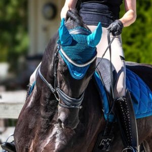 Summer Sapphire Bonnet