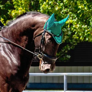 Emerald Green Bonnet