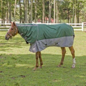 Winter Coat Detachable Neck Blanket: Hunter/Grey, 78