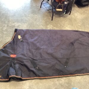 Winter Coat Big D Magnum 78" 300G