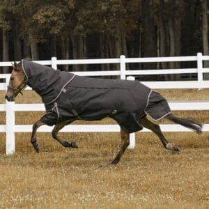 TuffRider All Season Blanket: Black, 75