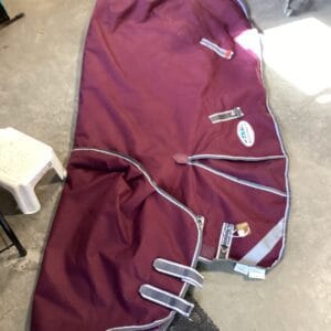 Winter Coat WeatherBeeta Burgundy 69"